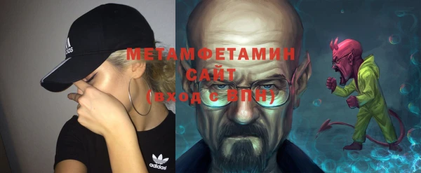 ПСИЛОЦИБИНОВЫЕ ГРИБЫ Осинники