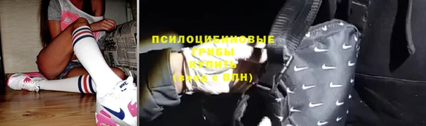 трава Переславль-Залесский