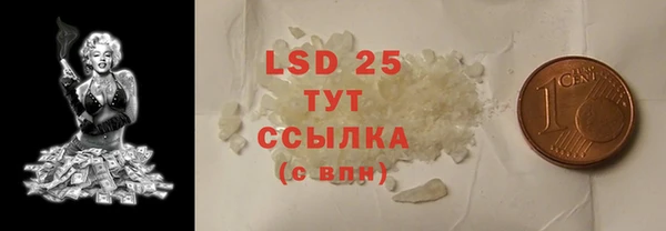 ПСИЛОЦИБИНОВЫЕ ГРИБЫ Осинники