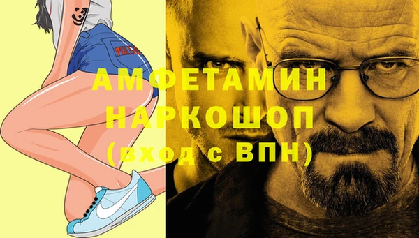 амф Грязовец